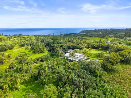 a big yard with lots of green space
