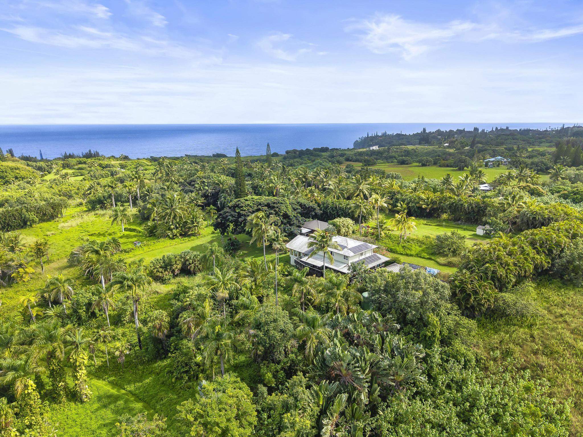 245 North Honokala Road, Unit A Haiku, HI 96708 - Photo 26 of 36 a view of a city with lush green forest