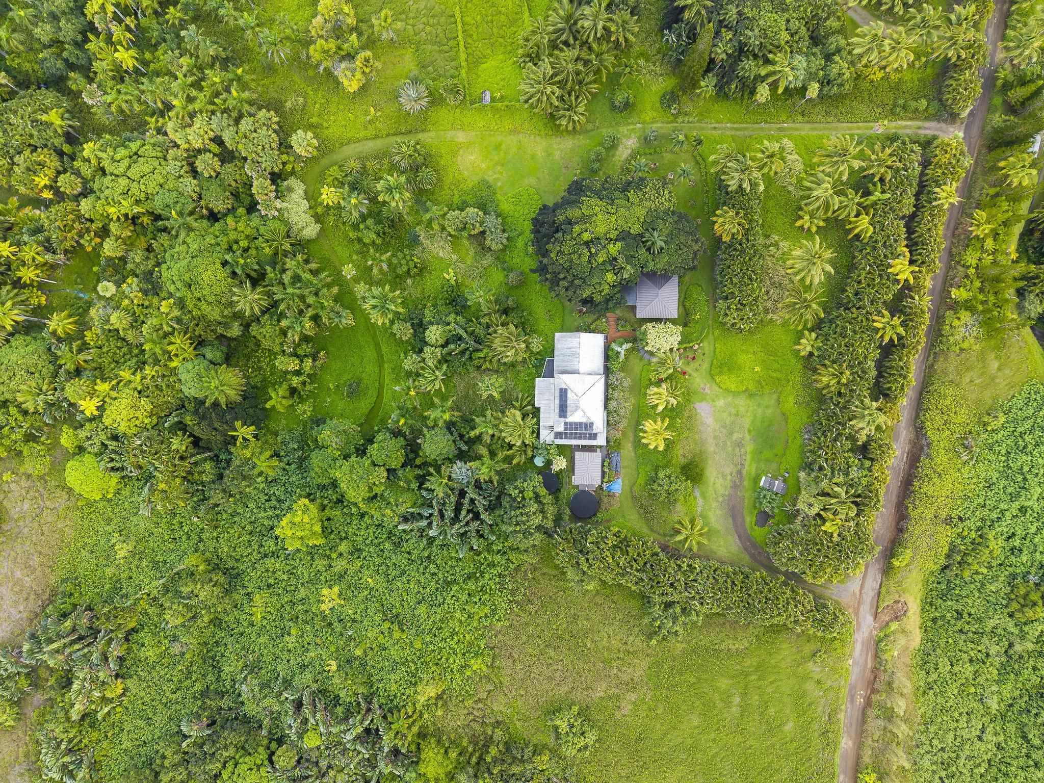 245 North Honokala Road, Unit A Haiku, HI 96708 - Photo 28 of 36 a view of a garden