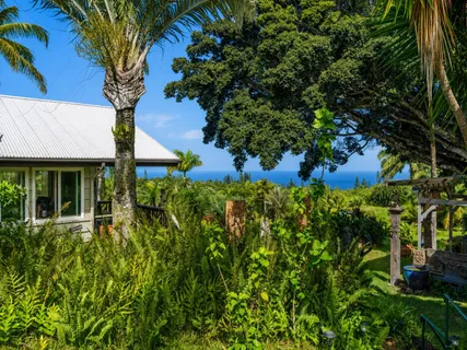 a view of a house with a tree