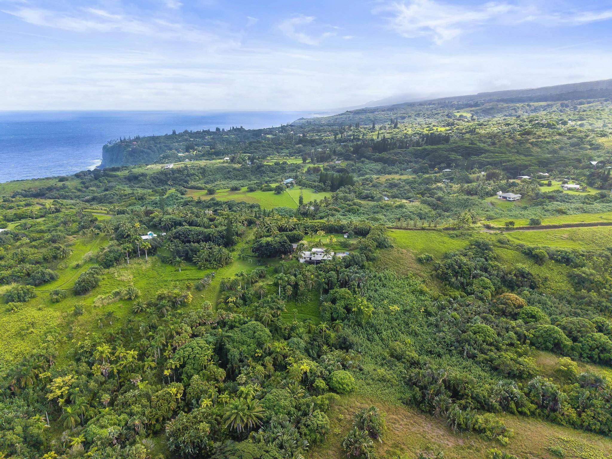 245 North Honokala Road, Unit A Haiku, HI 96708 - Photo 32 of 36 a view of a city with lush green forest