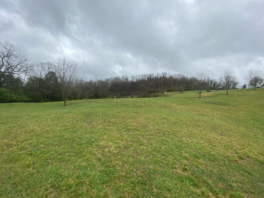 0 Reedy Creek Road, Unit 1 Bristol, VA 24201 - Photo 10 of 14 Gallery Image 10