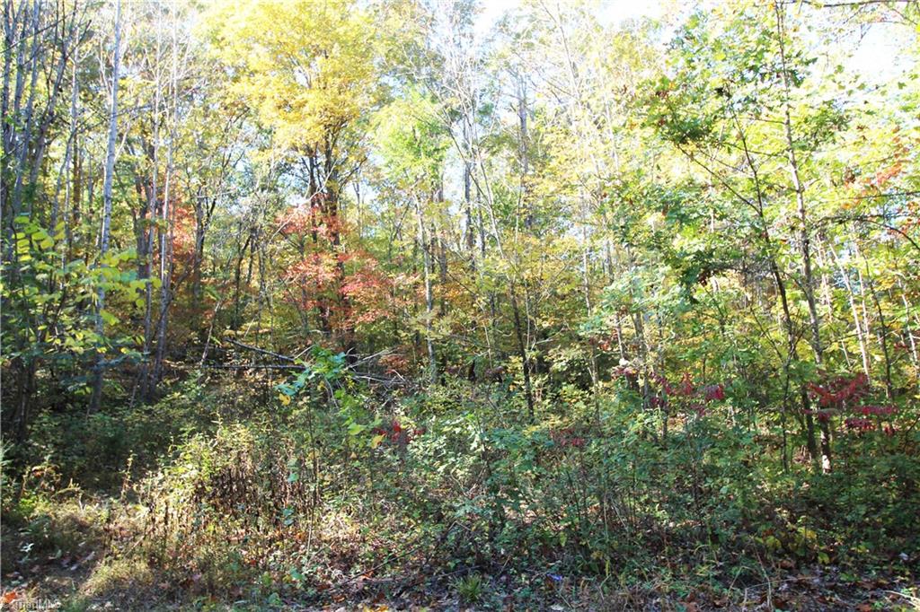 3400 Johnson Mill Road Gretna, VA 24557 - Photo 14 of 25