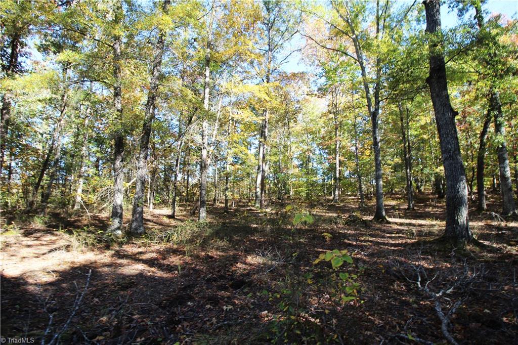 3400 Johnson Mill Road Gretna, VA 24557 - Photo 16 of 25