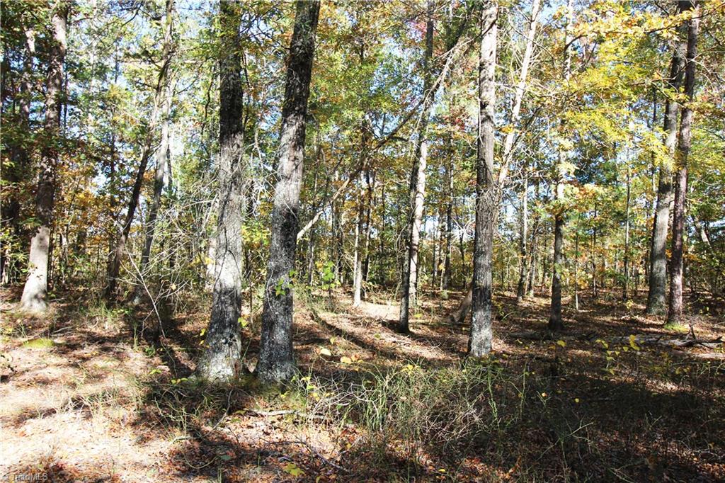 3400 Johnson Mill Road Gretna, VA 24557 - Photo 18 of 25
