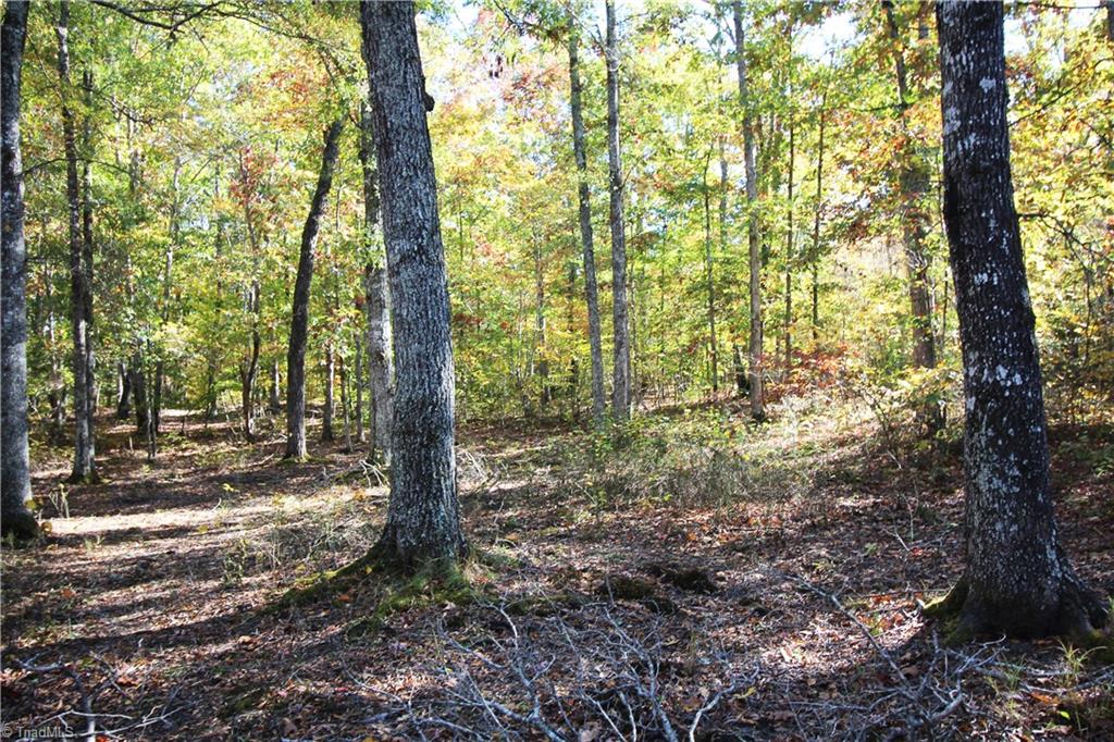3400 Johnson Mill Road Gretna, VA 24557 - Photo 9 of 25