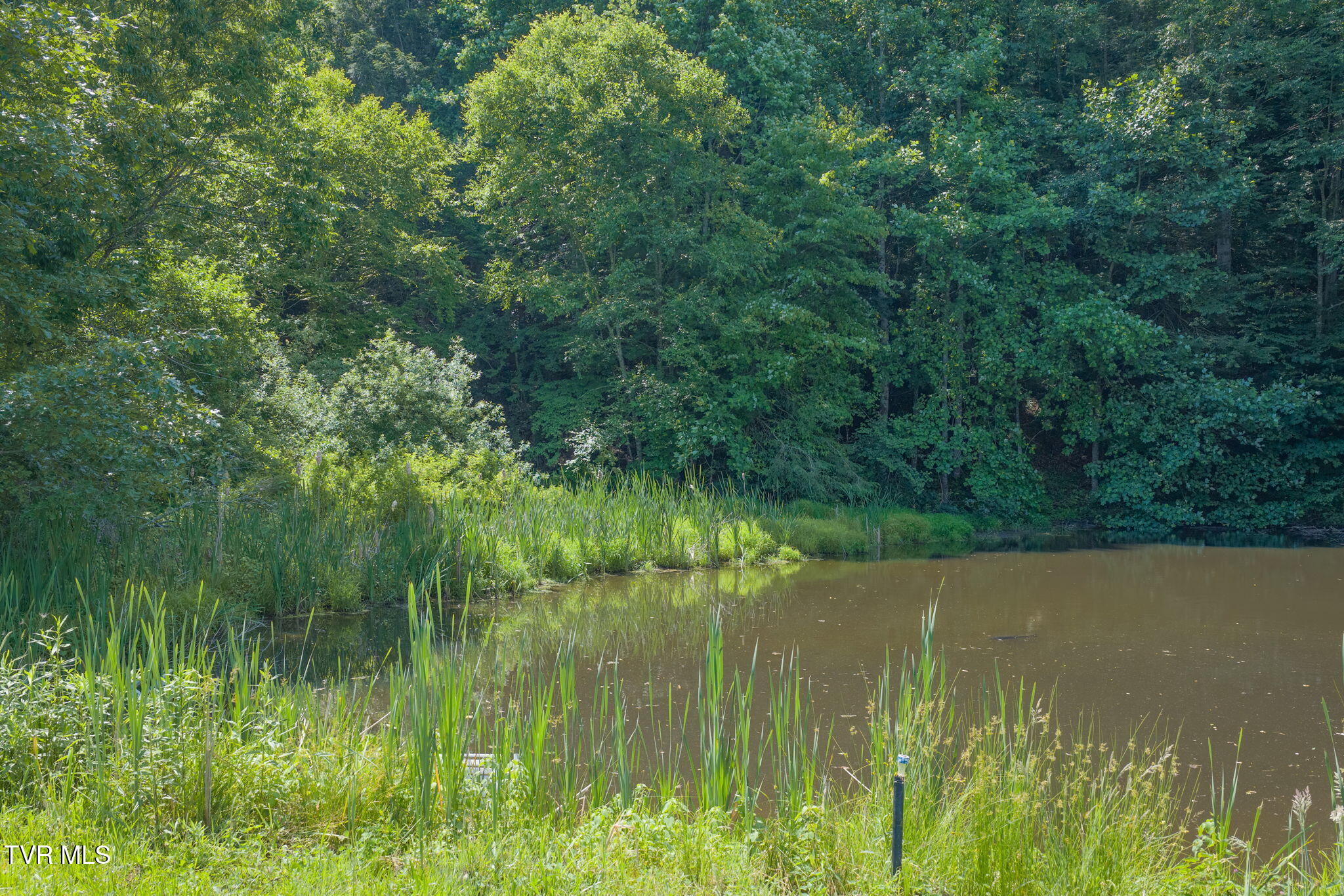 120 Teaberry Road Roan Mountain, TN 37687 - Photo 25 of 56 24-web-or-mls-DJI_20260612112439_0269_D