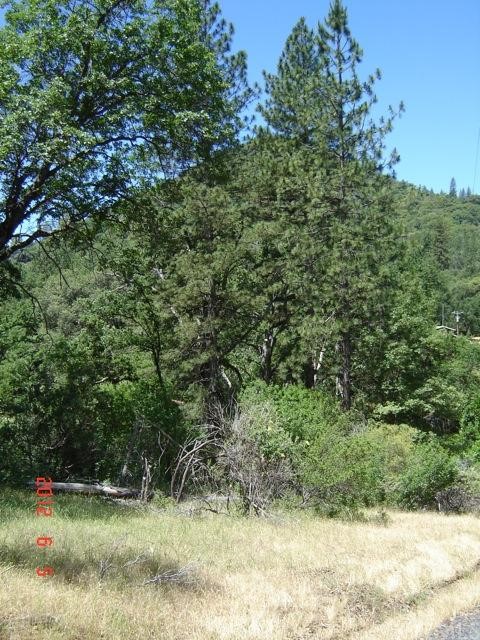 0 Carter Road Mariposa, CA 95338 - Photo 1 of 1 Gallery Image 1