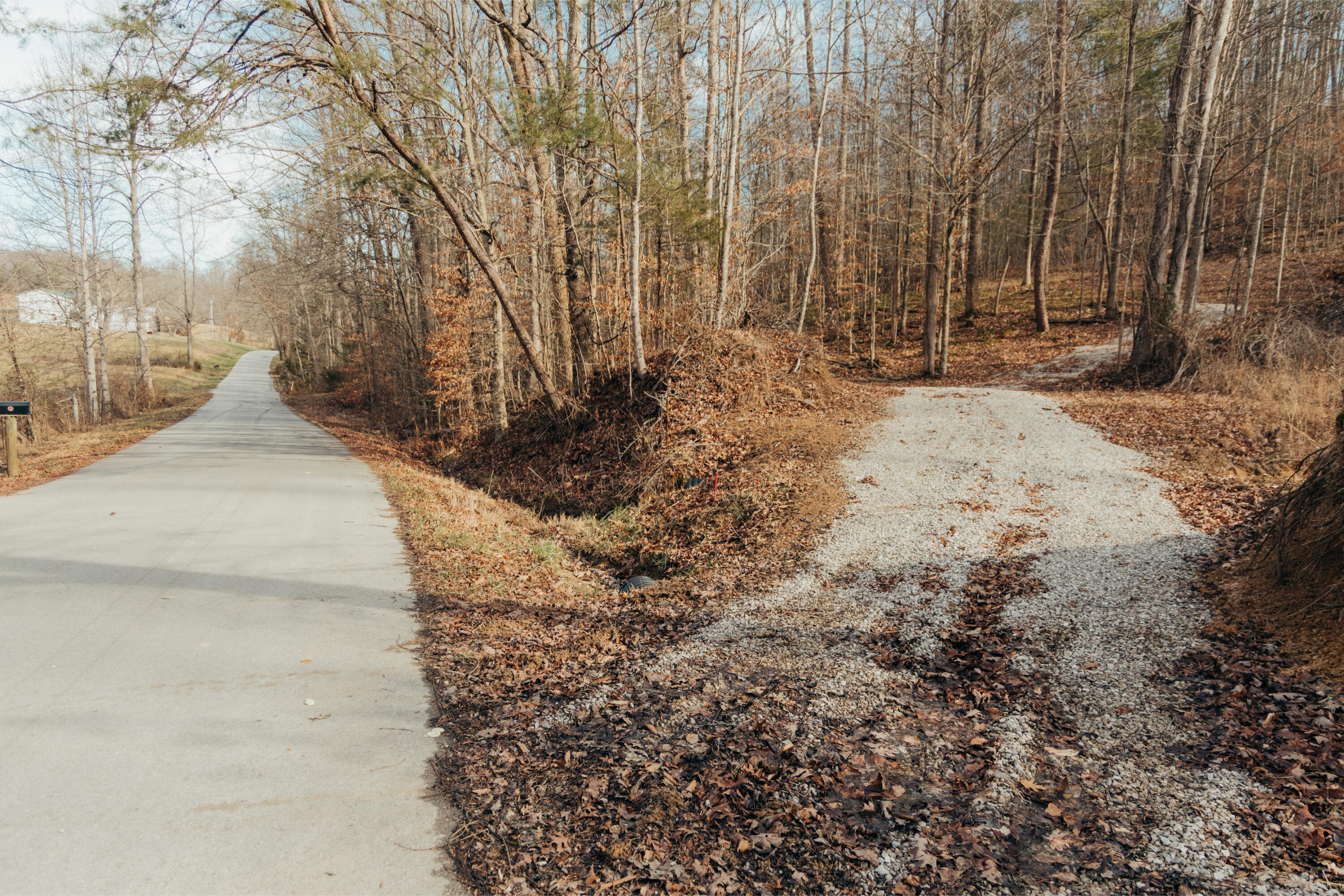 -tbd Whites Branch Road Wellington, KY 40387 - Photo 1 of 19 3Q8A9326