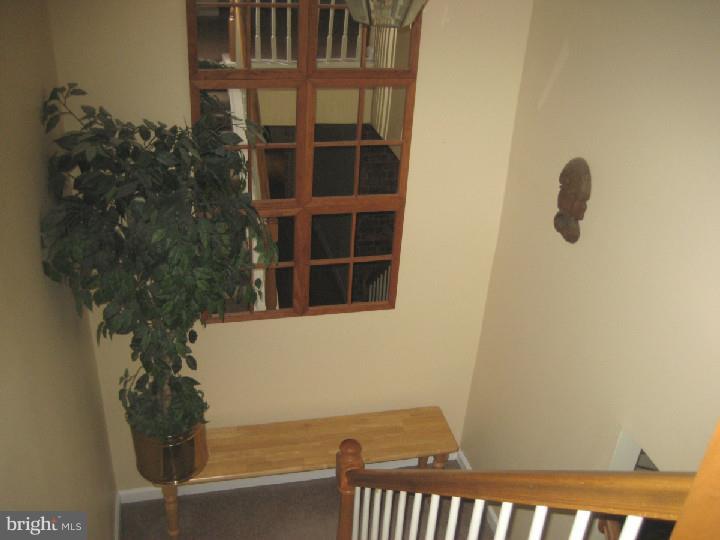 16 Granite Road East Windsor, NJ 08520 - Photo 16 of 25 Gallery Image 16