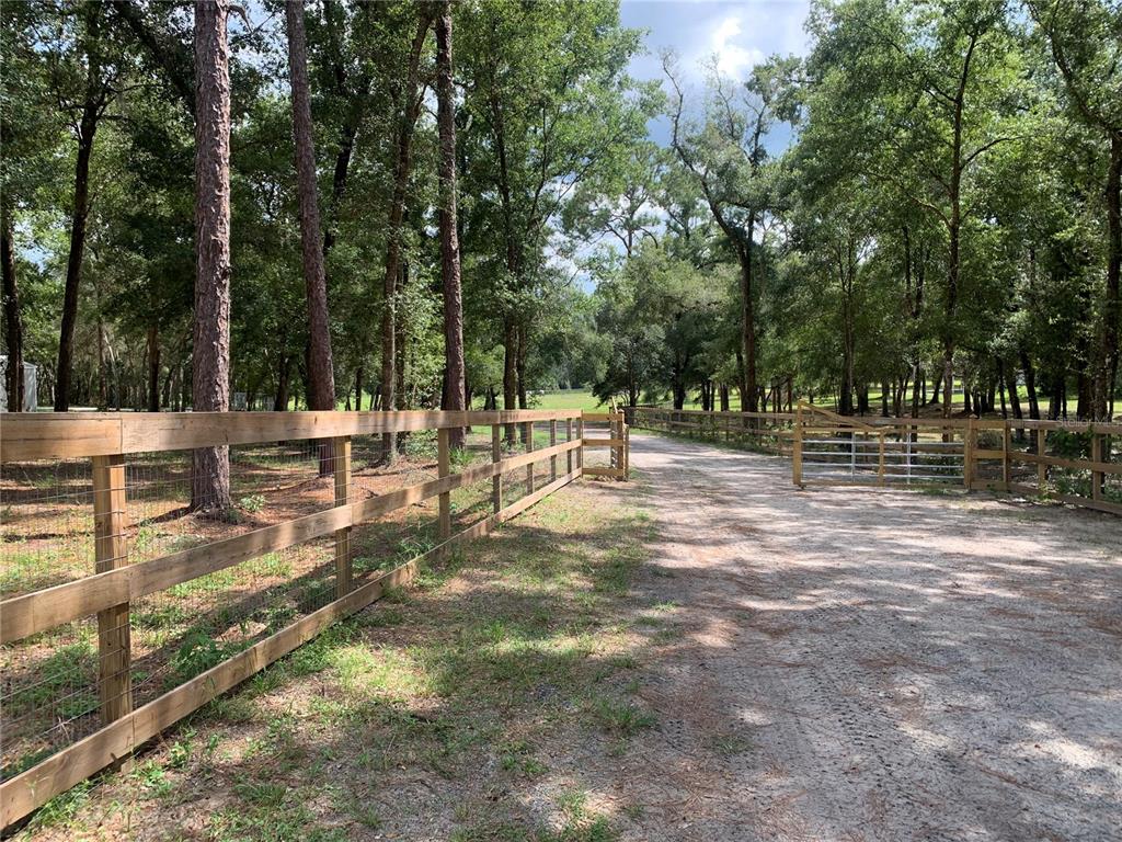 a view of yard with tree