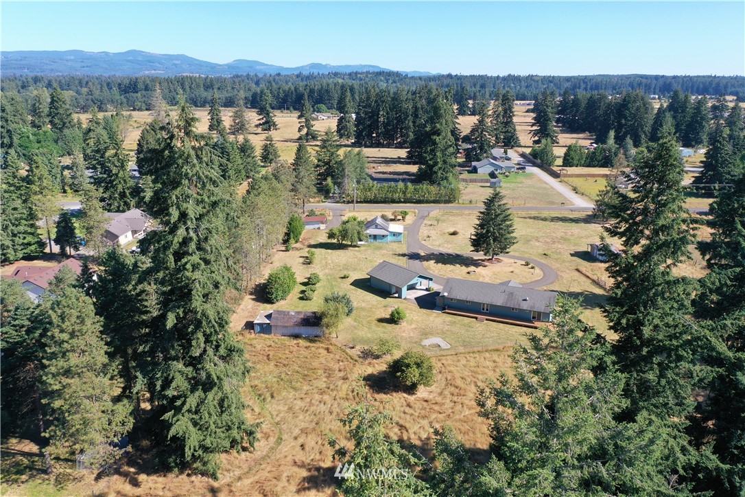 7625 187th Avenue Southwest Rochester, WA 98579 - Photo 33 of 38 a view of lake and mountain