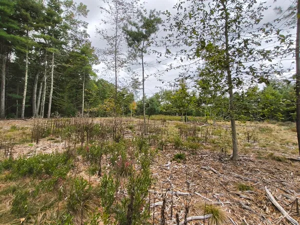 a view of a field with trees in the background