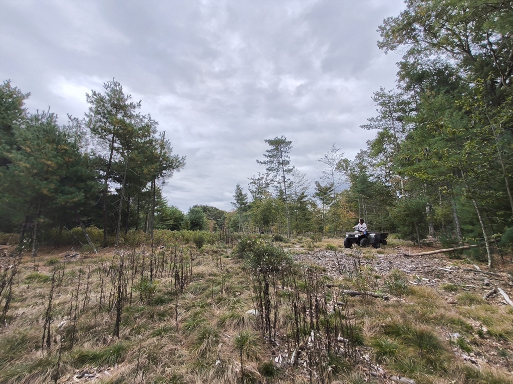 0 Cobb Street Norton, MA 02766 - Photo 4 of 5 a view of a field with trees in the background