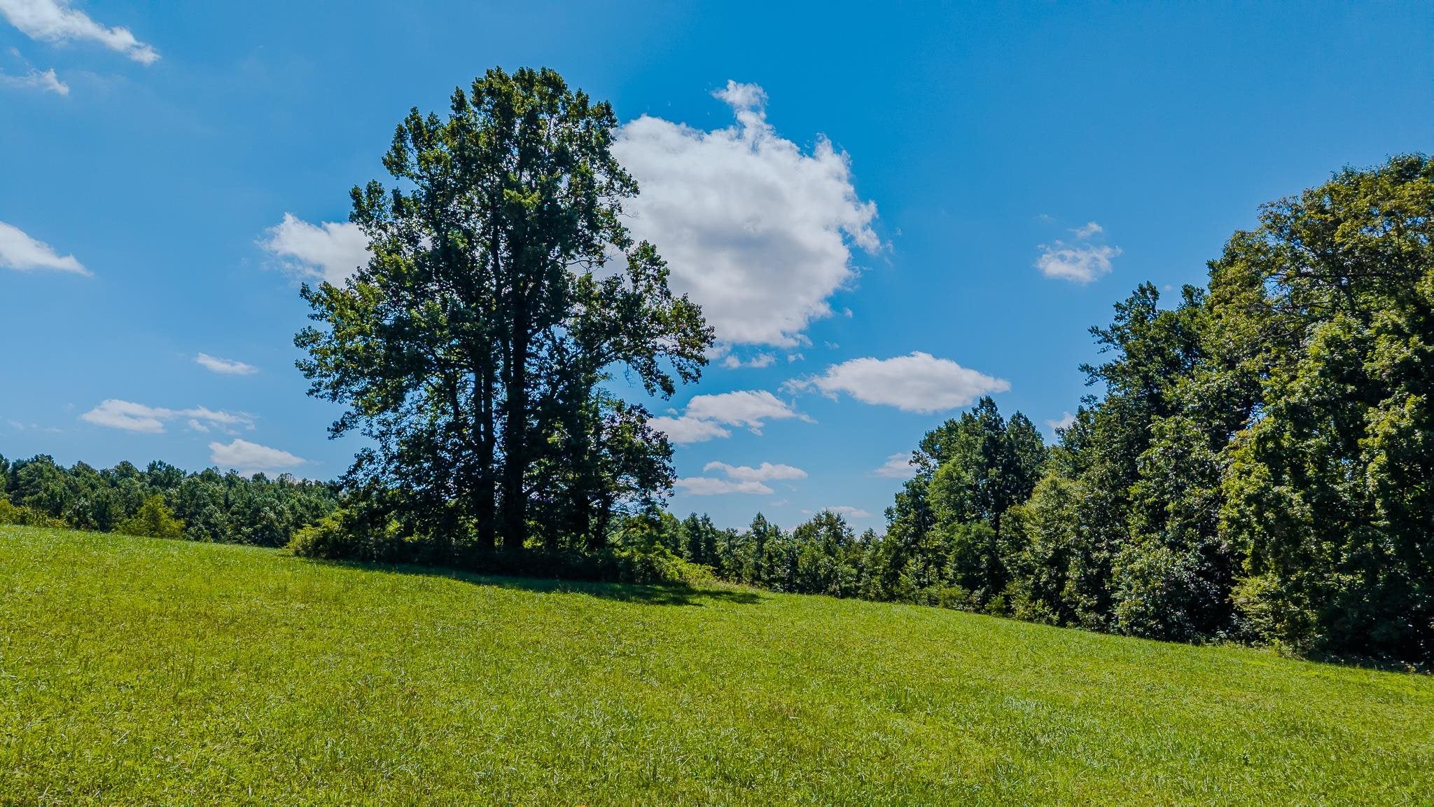 Tbd Free Union Road Meadows Of Dan, VA 24120 - Photo 4 of 21 Gallery Image 4