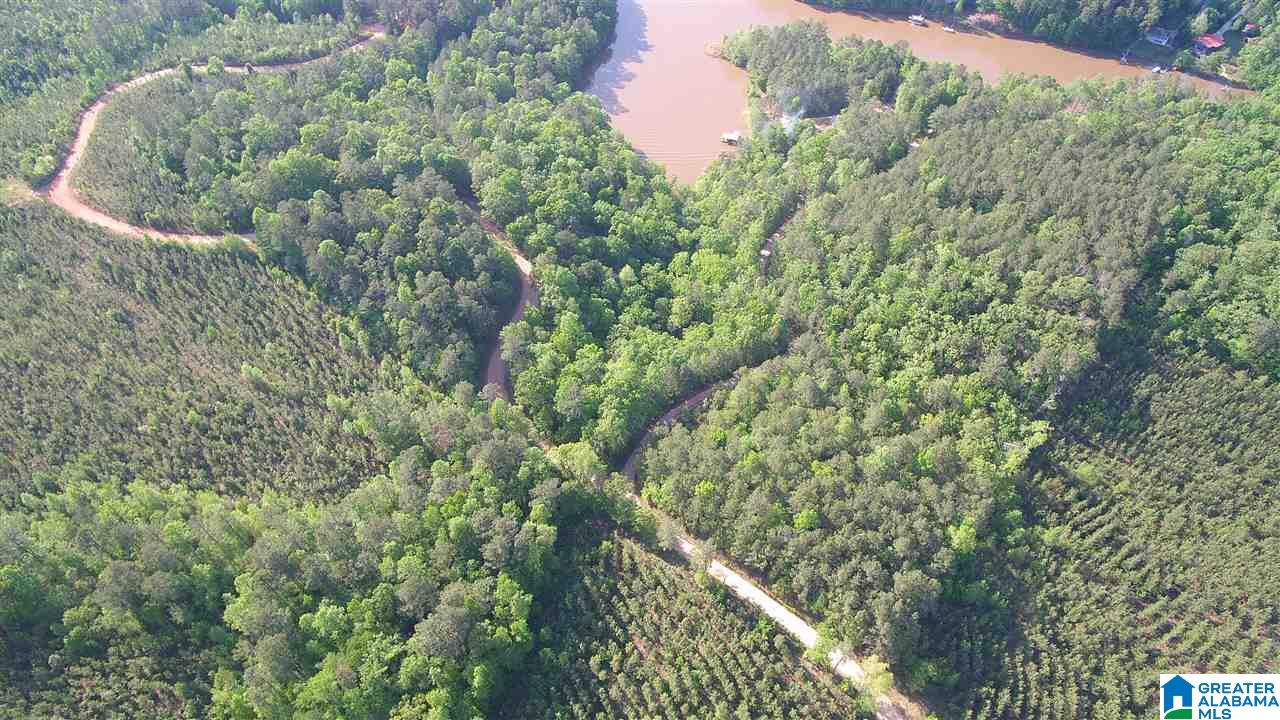 9901 County Road, Unit 5 35 Wedowee, AL 36278 - Photo 4 of 5