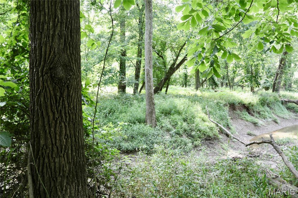 0 Church Road Salem, IL 62881 - Photo 22 of 29