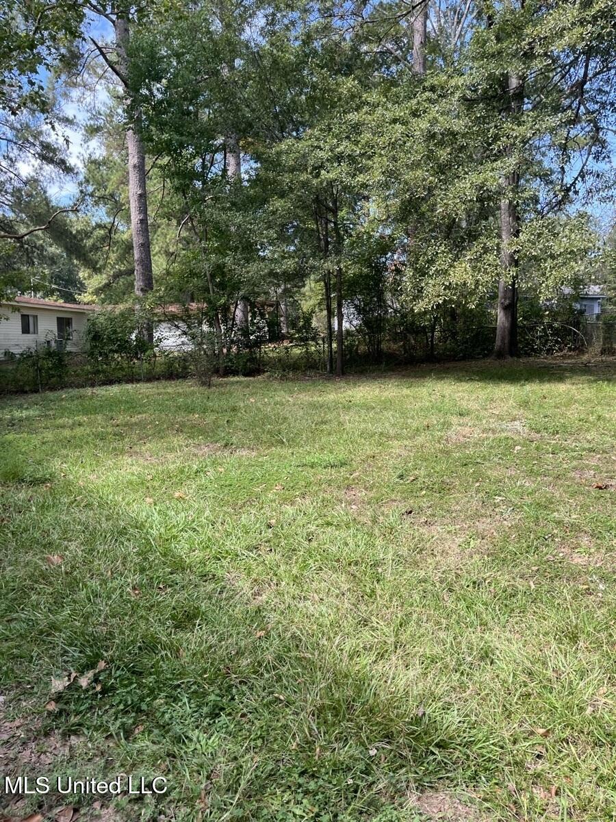 3253 Ridgeland Drive Jackson, MS 39212 - Photo 7 of 7 3253 Ridgeland Dr - back yard