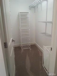 71950 Dequindre Road Romeo, MI 48065 - Photo 19 of 39 walk-in closet in master bath