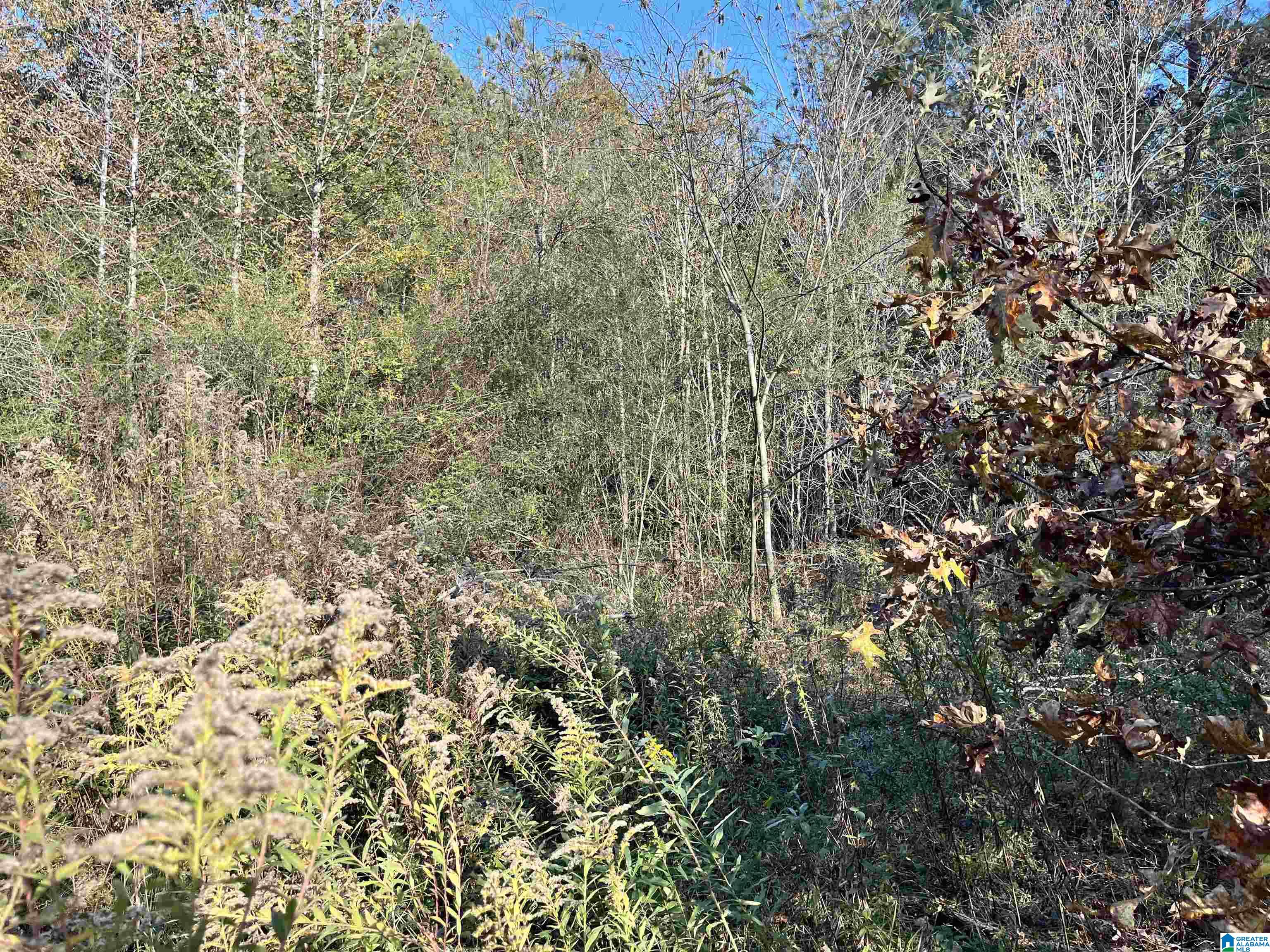 1720 Pleasant Valley Road, Unit 1 Pell City, AL 35125 - Photo 9 of 16