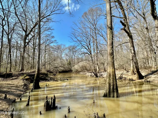 $875,000 | 4 Evans Road, Carthage, MS 39051