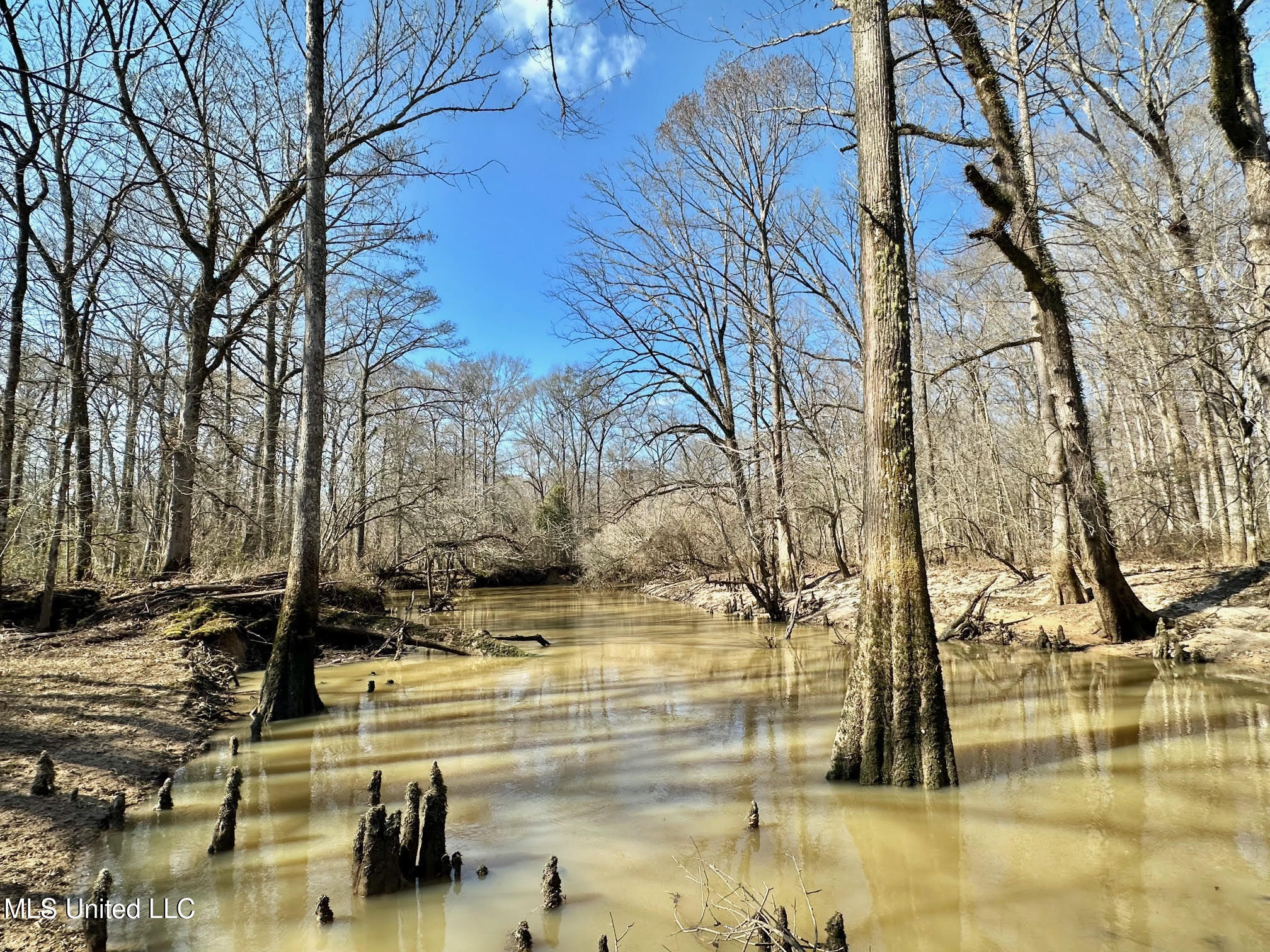 4 Evans Road Carthage, MS 39051 - Photo 12 of 54 57