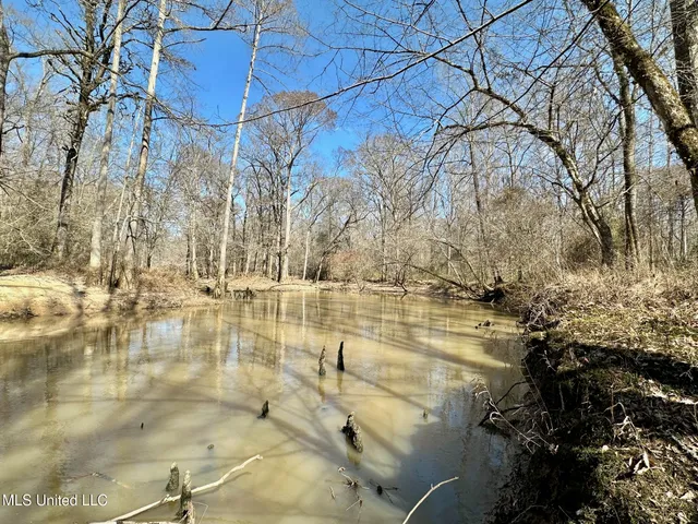 $875,000 | 4 Evans Road, Carthage, MS 39051