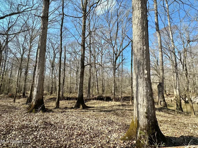 $875,000 | 4 Evans Road, Carthage, MS 39051