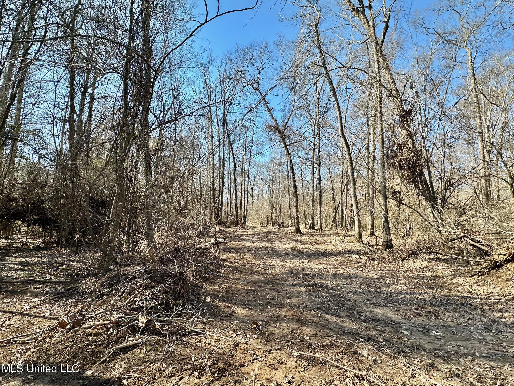 4 Evans Road Carthage, MS 39051 - Photo 17 of 54 62