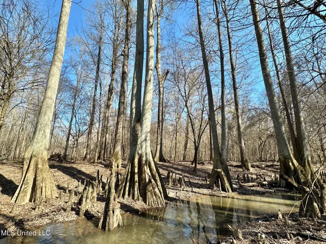 $875,000 | 4 Evans Road, Carthage, MS 39051