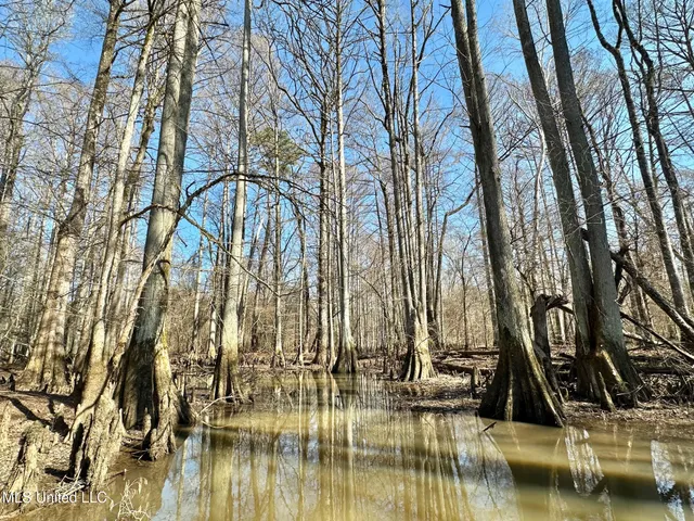 $875,000 | 4 Evans Road, Carthage, MS 39051