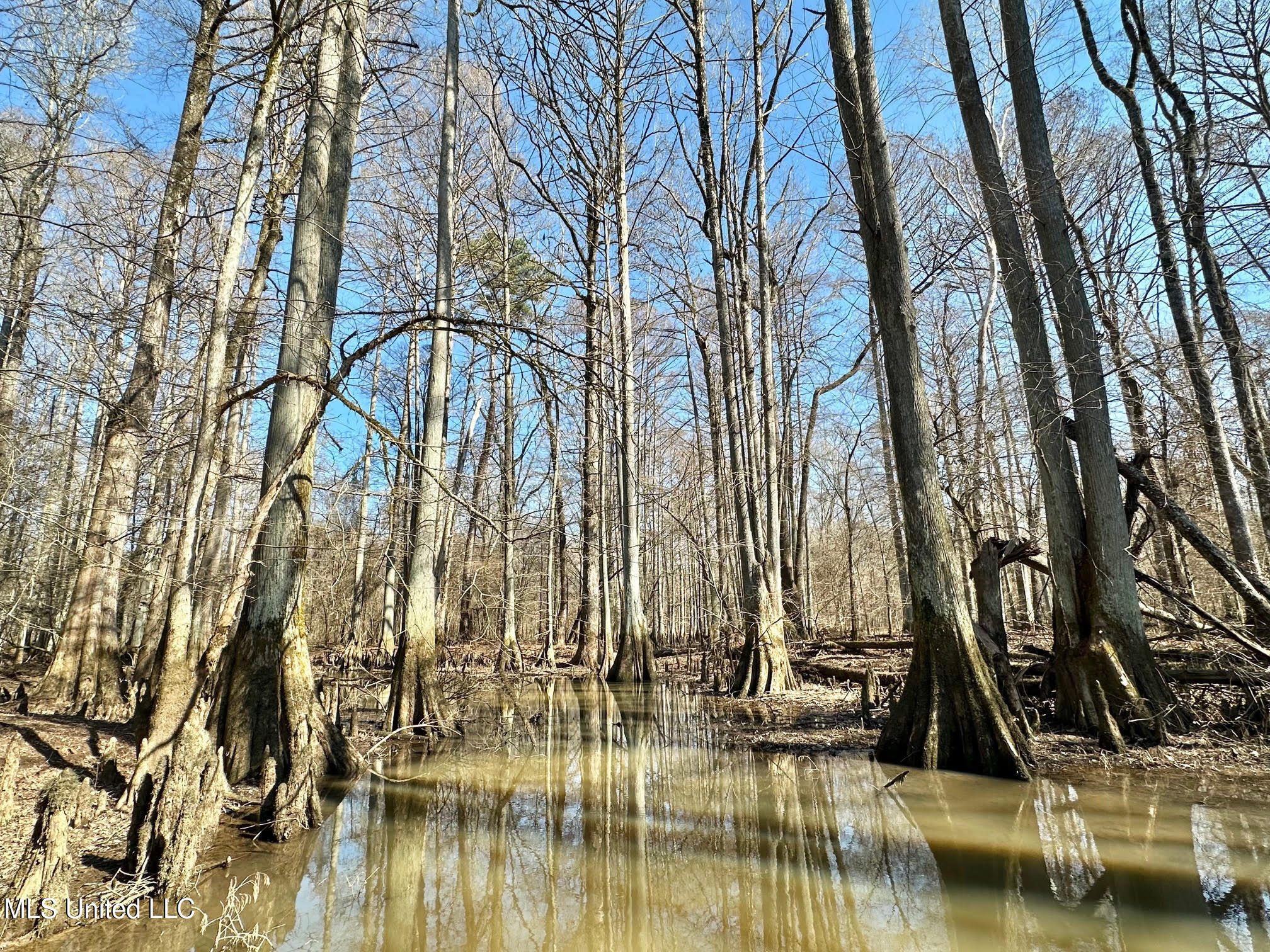 4 Evans Road Carthage, MS 39051 - Photo 20 of 54 66