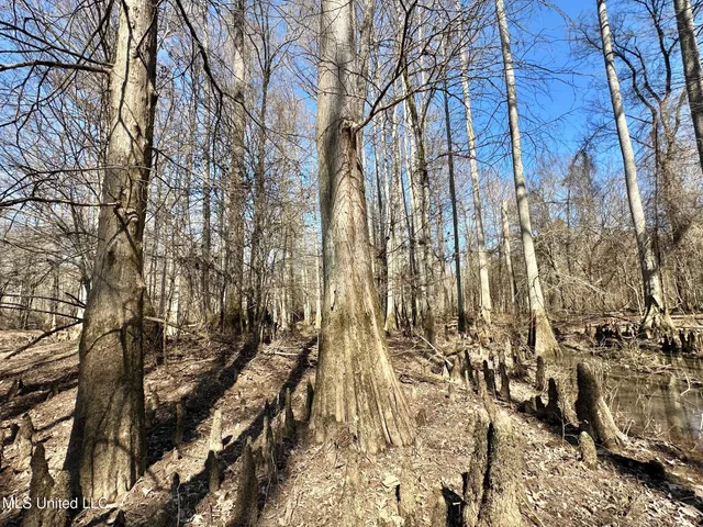 $875,000 | 4 Evans Road, Carthage, MS 39051