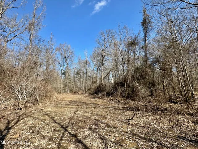 $875,000 | 4 Evans Road, Carthage, MS 39051