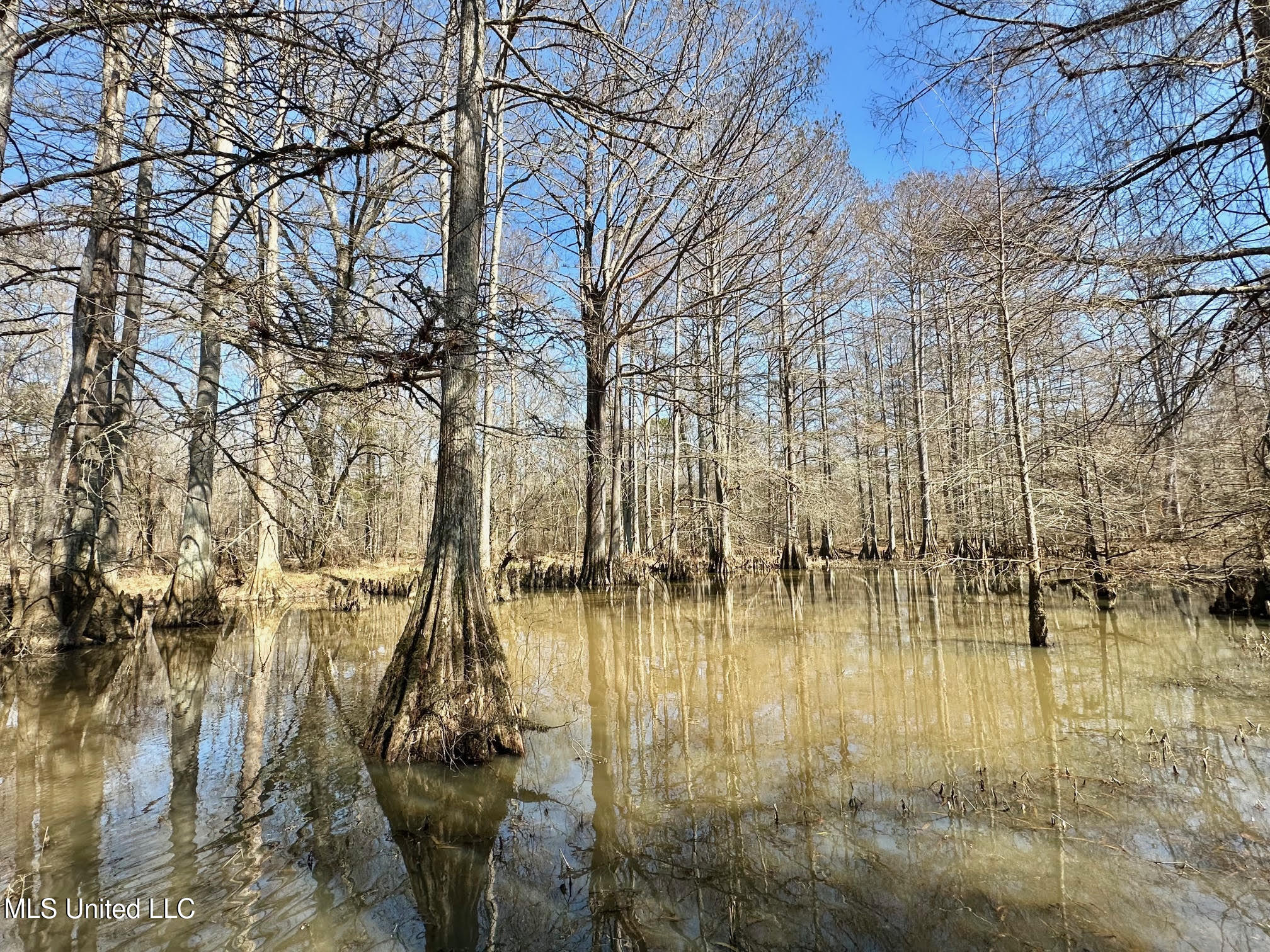 4 Evans Road Carthage, MS 39051 - Photo 25 of 54 71