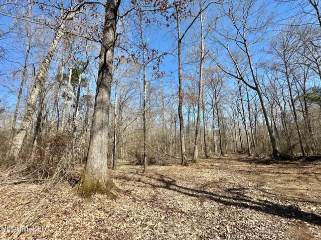 $875,000 | 4 Evans Road, Carthage, MS 39051