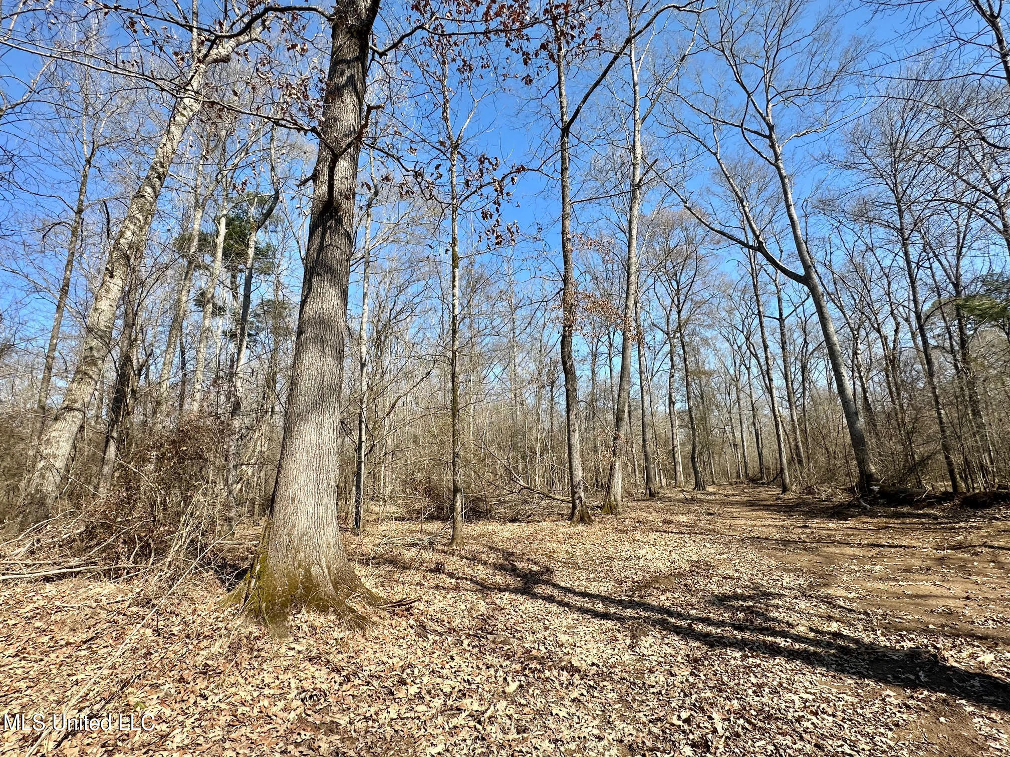 4 Evans Road Carthage, MS 39051 - Photo 26 of 54 72