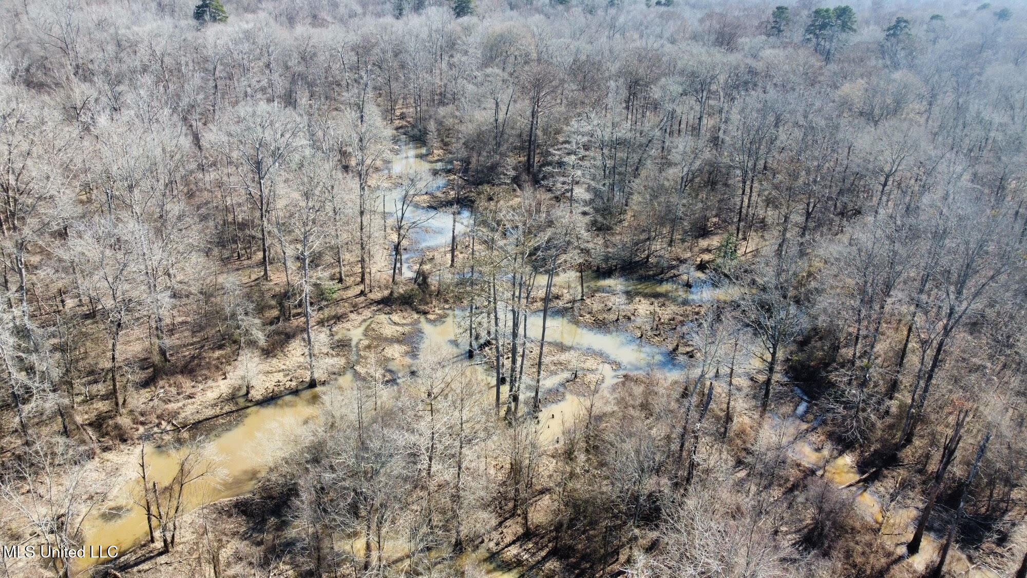 4 Evans Road Carthage, MS 39051 - Photo 27 of 54 73