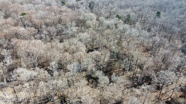 $875,000 | 4 Evans Road, Carthage, MS 39051