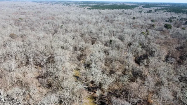 $875,000 | 4 Evans Road, Carthage, MS 39051