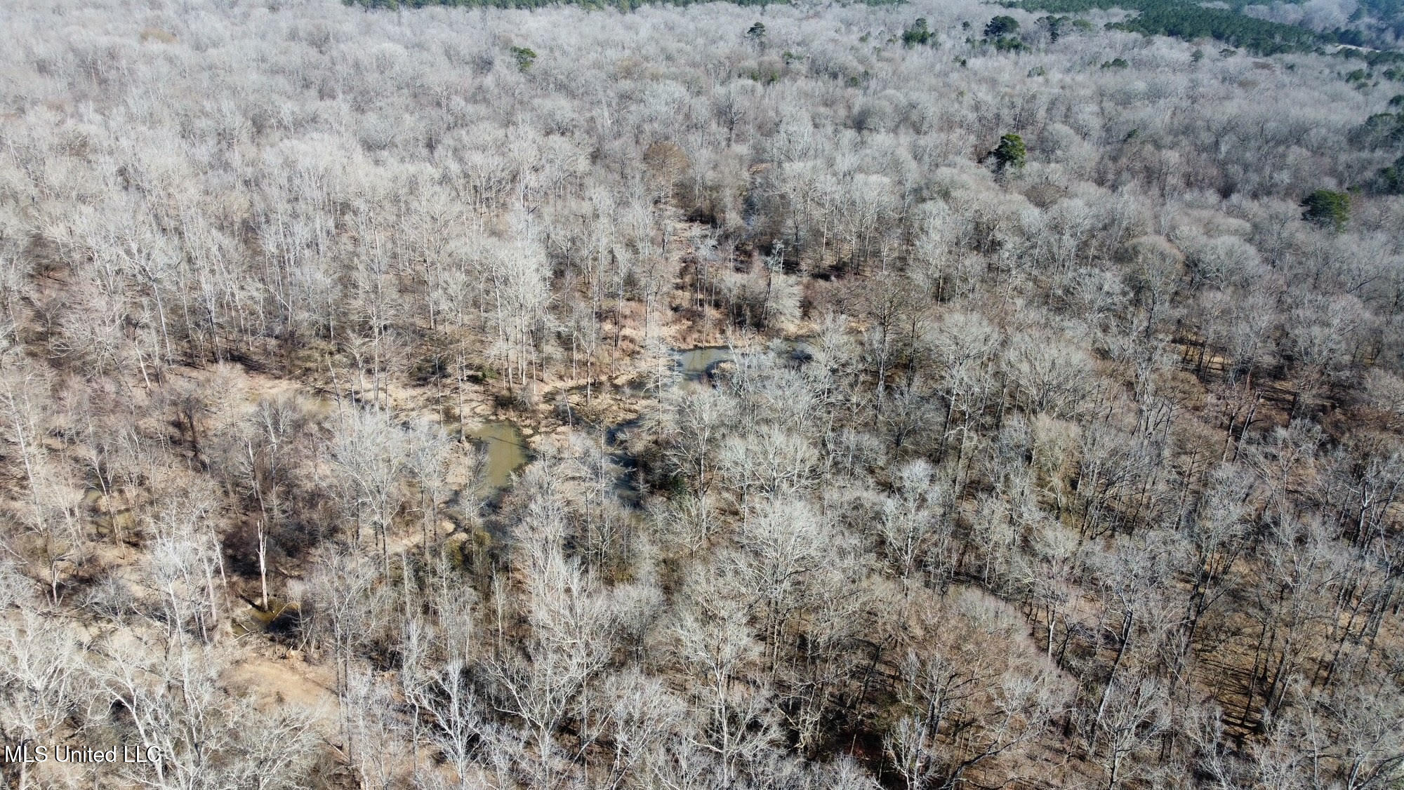 4 Evans Road Carthage, MS 39051 - Photo 34 of 54 80