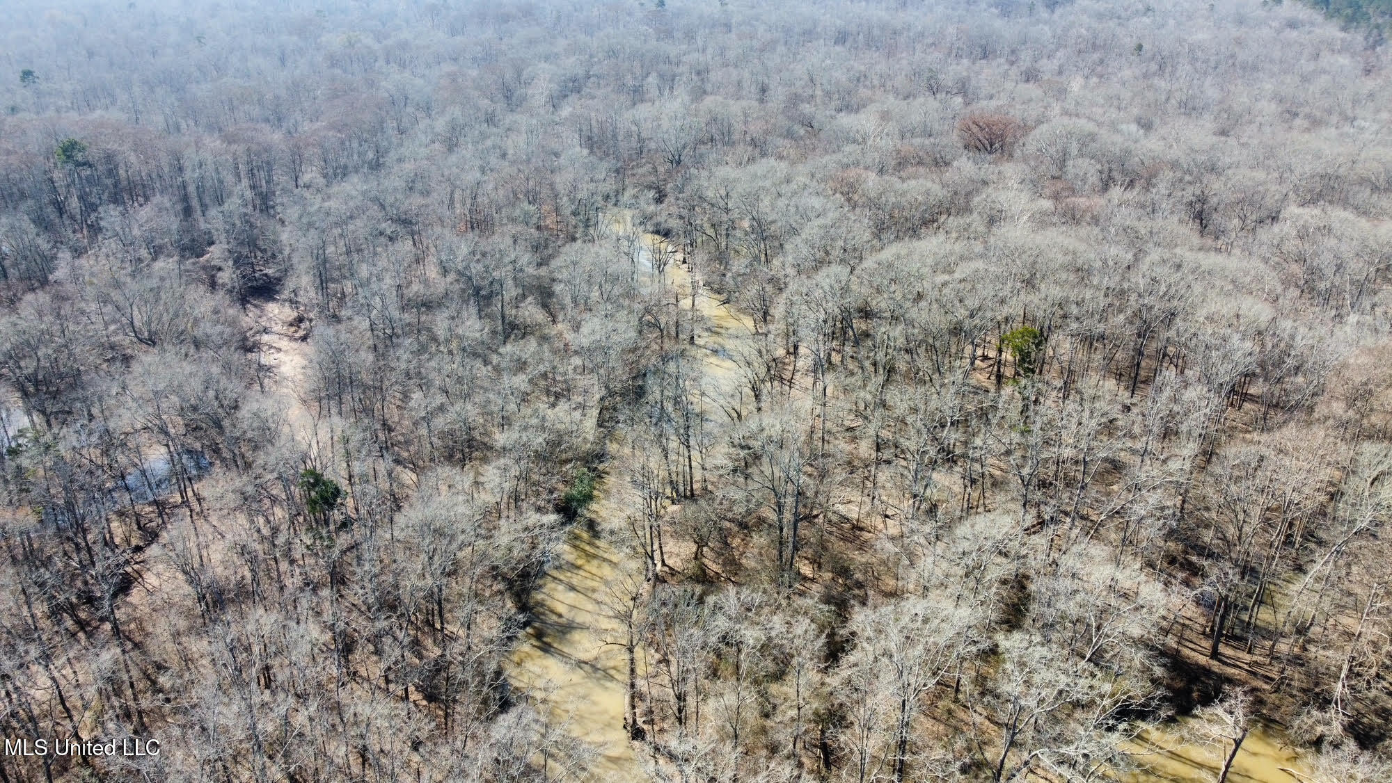 4 Evans Road Carthage, MS 39051 - Photo 35 of 54 81