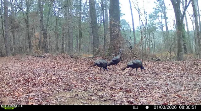 $875,000 | 4 Evans Road, Carthage, MS 39051