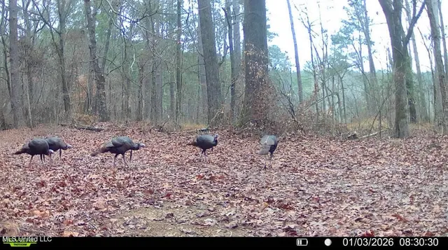 $875,000 | 4 Evans Road, Carthage, MS 39051