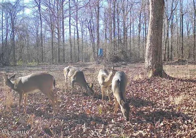 $875,000 | 4 Evans Road, Carthage, MS 39051