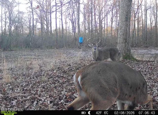 $875,000 | 4 Evans Road, Carthage, MS 39051