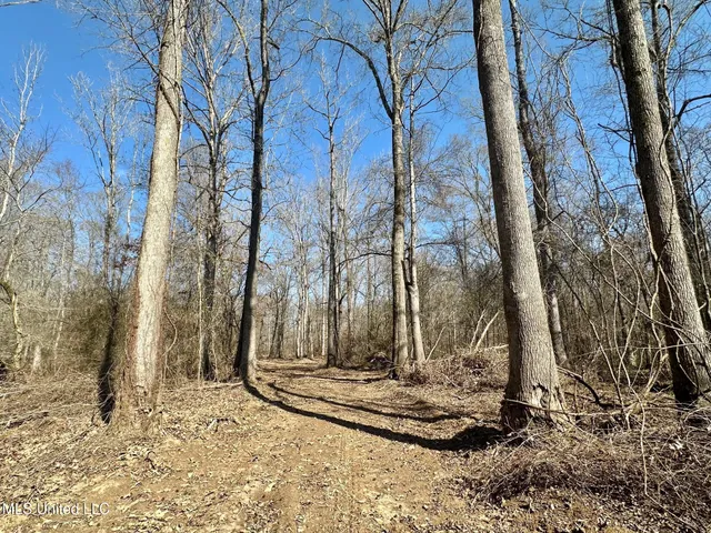 $875,000 | 4 Evans Road, Carthage, MS 39051