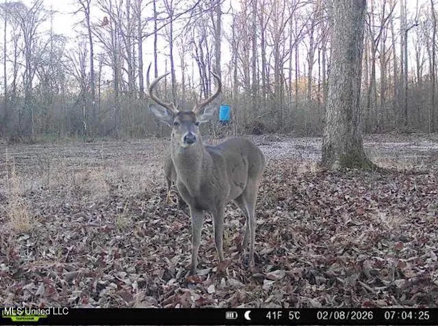 $875,000 | 4 Evans Road, Carthage, MS 39051