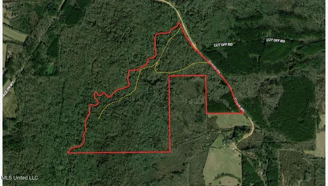 $875,000 | 4 Evans Road, Carthage, MS 39051