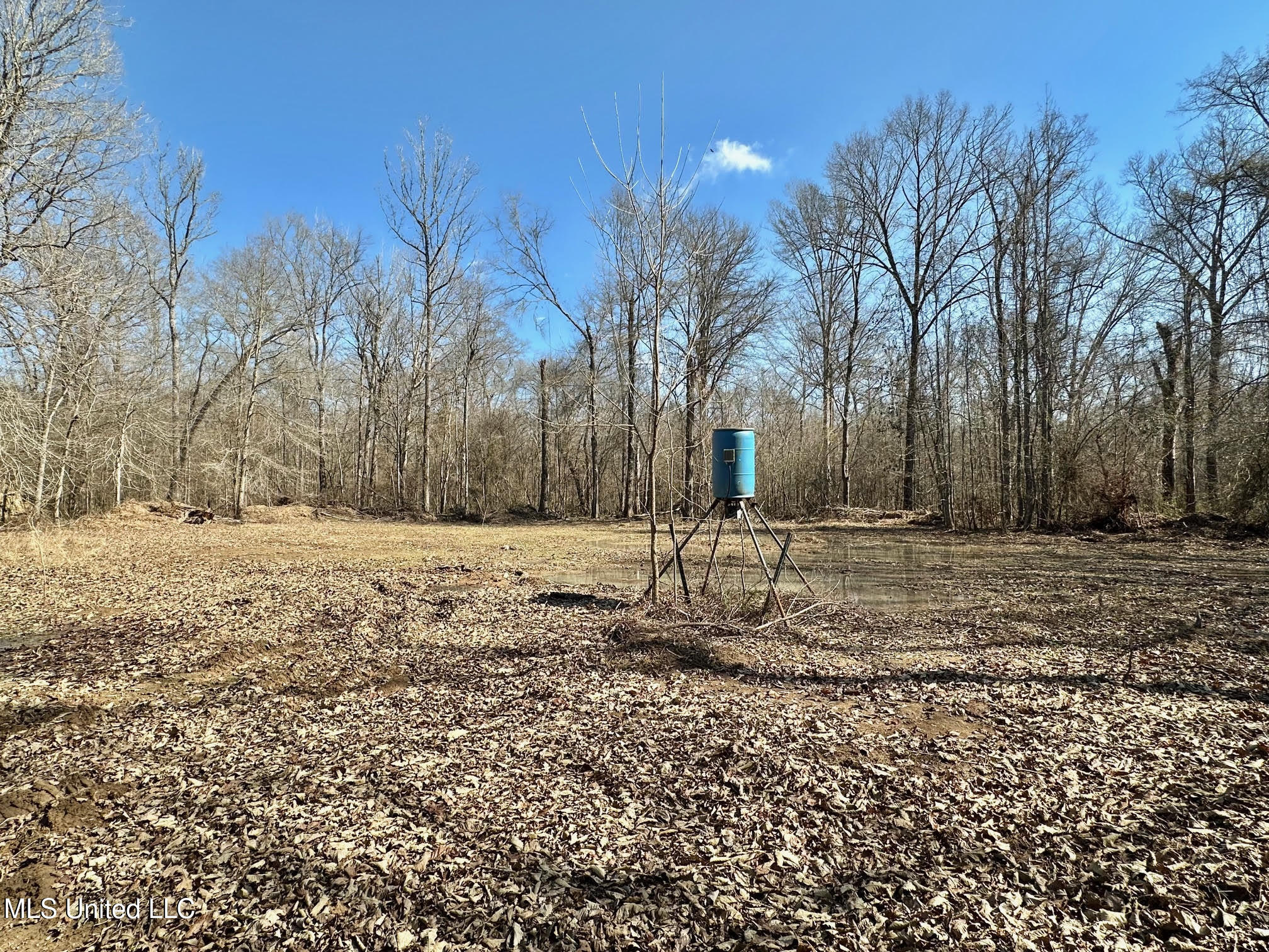 4 Evans Road Carthage, MS 39051 - Photo 7 of 54 52